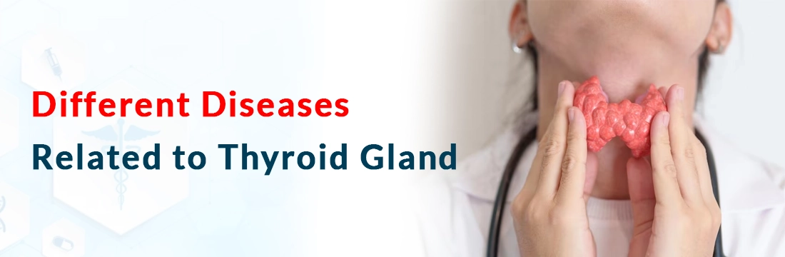  Different Diseases Related to Thyroid Gland